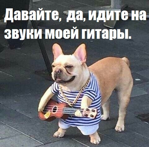 Damn, I'm sorry, well, I couldn't resist ..... I couldn't resist ... - I can not, Tears, Dog, Guitar, 