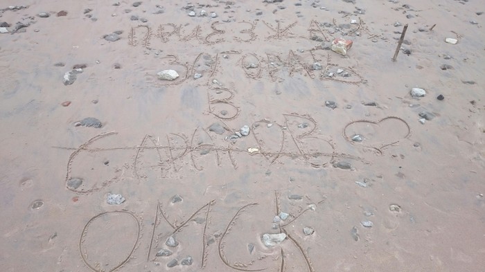 Тайные агенты завлекают новых жертв.