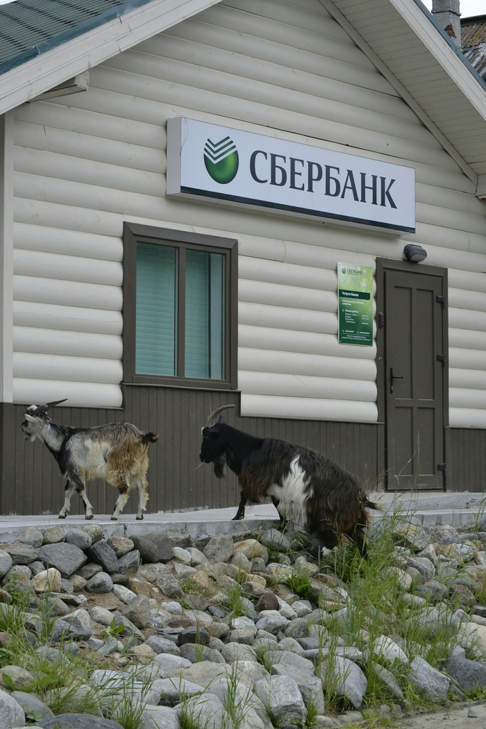 �� ��� ���....��� ��� ��������....