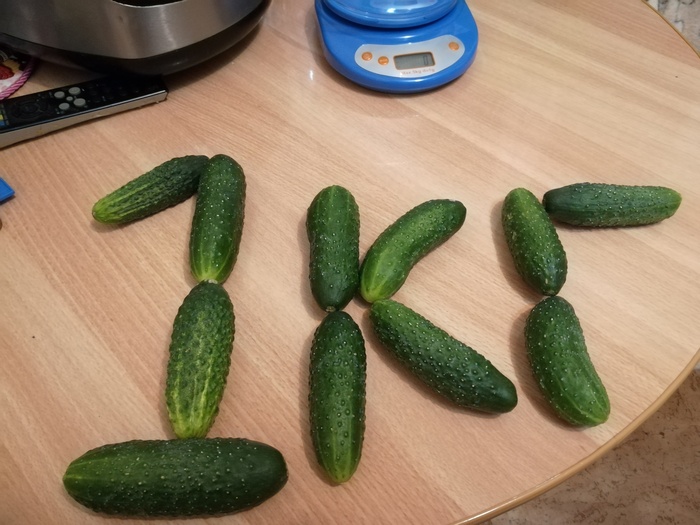 Cucumbers. - My, Food, Lightly salted cucumbers, Longpost, Recipe