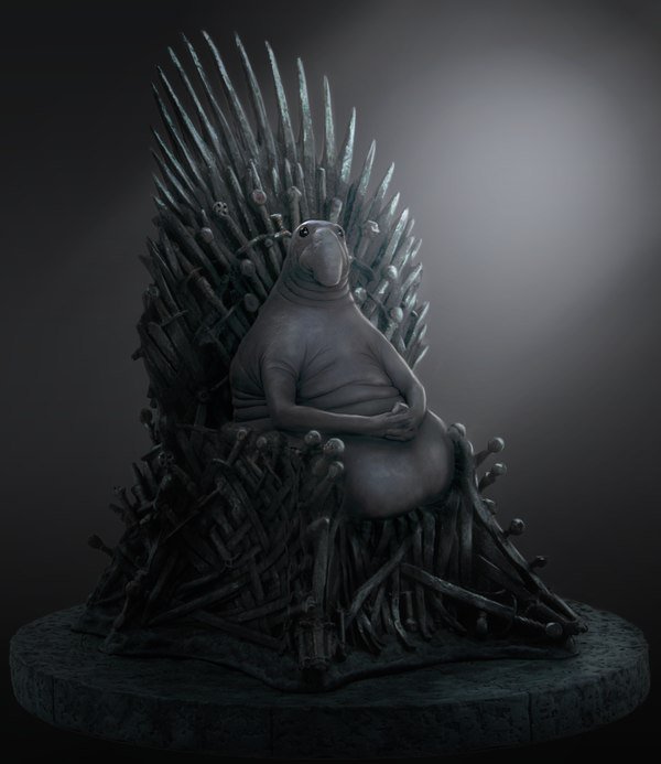     ,      .  , 