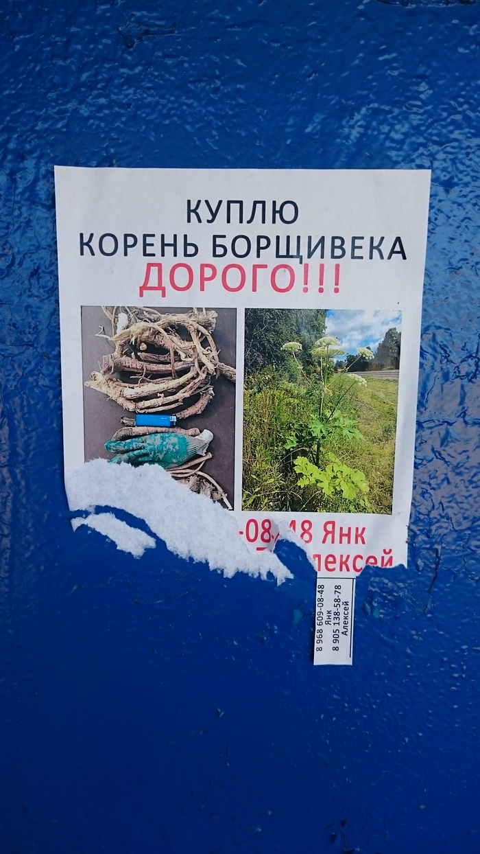 ���������� ����������.