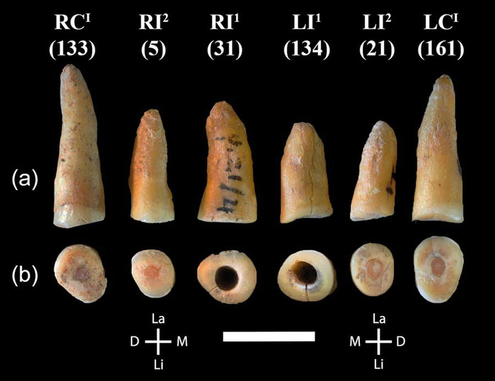 ���� �����������. ������� ������� ���� �� ������� ������� �������