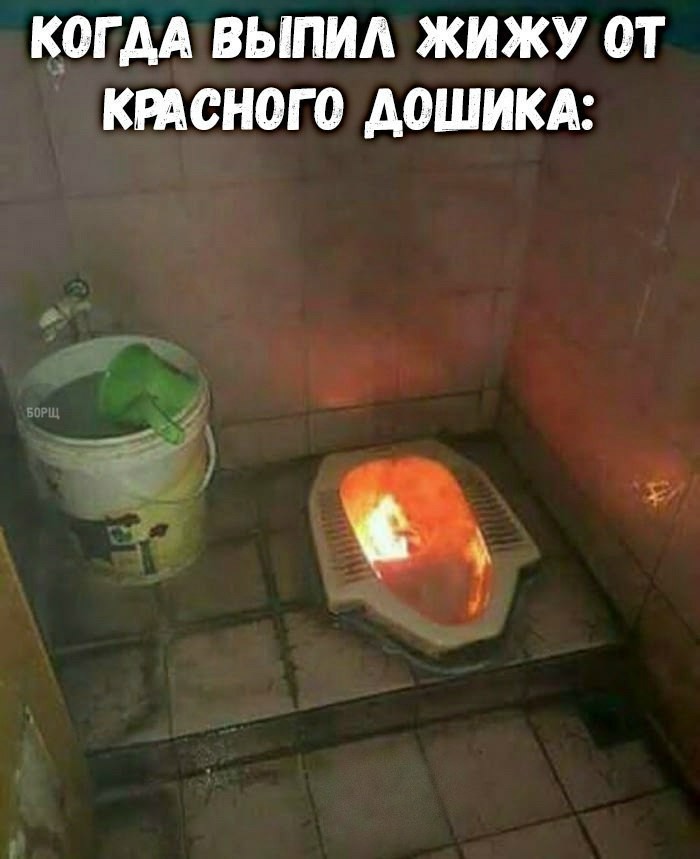Красный дошик