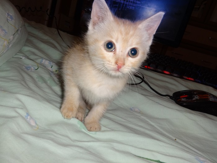 Тоски и надежды пост ...