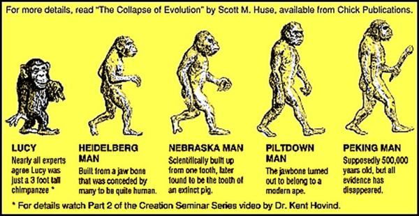 The monkey who could... - Monkey, Anthropogenesis, Piltdown Man, , Evolution, Longpost, Archeology