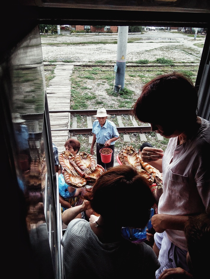 Entourage of the station Kotelnikovo - Atmospheric, A fish, A train, Trade, My, Travels, The photo