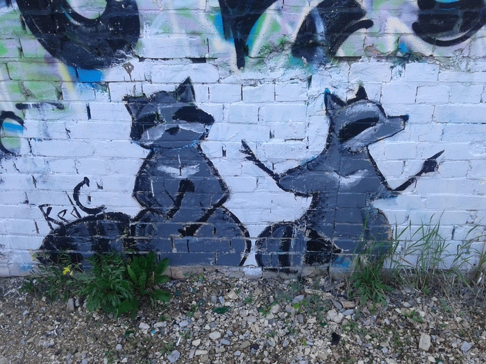 ����� �����