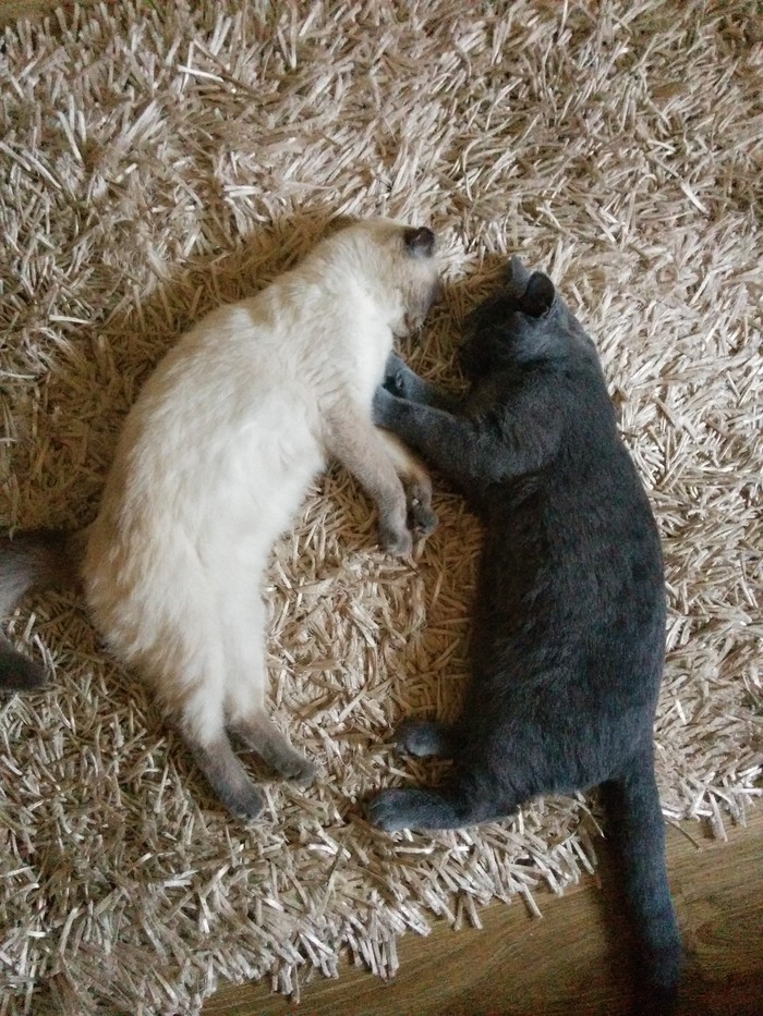 ����-���-���