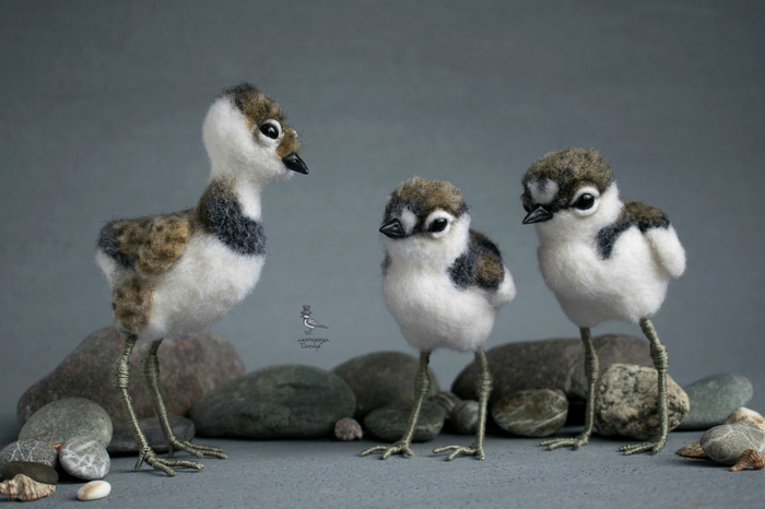 Felted chicks - two plovers and a lapwing - My, Dry felting, My, Needlework without process, , Plover, Lapwing, Chick, Birds, Longpost