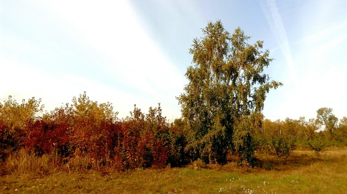 Осеннее просветление