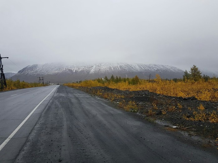 Желтей тундра ,  желтей