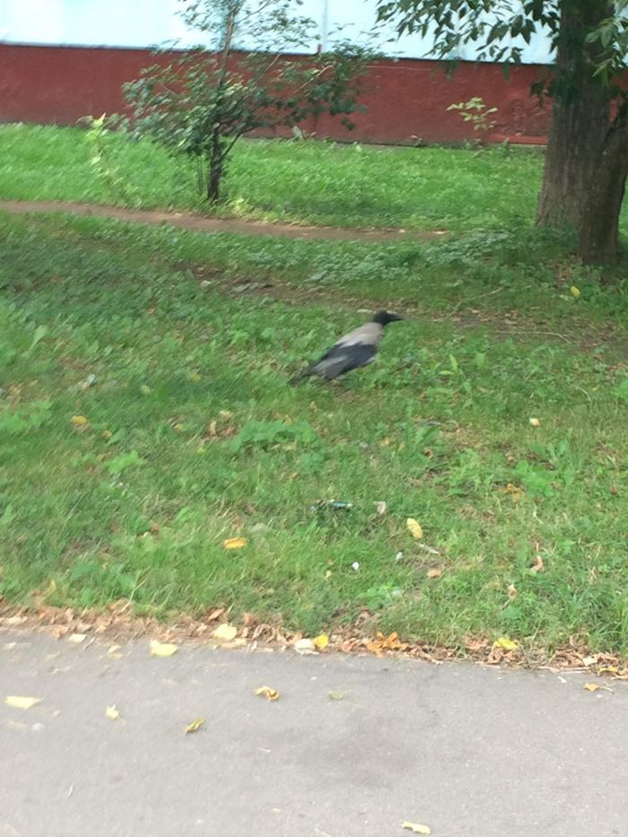  ! ,  , , , , , 