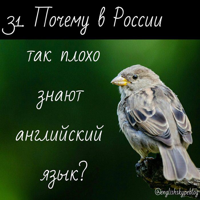 Урок 31. Почему в России так плохо знают английский язык? - Моё, Английский язык, Изучаем английский, Самообразование, Учитель, Самоучитель по английскому, Длиннопост