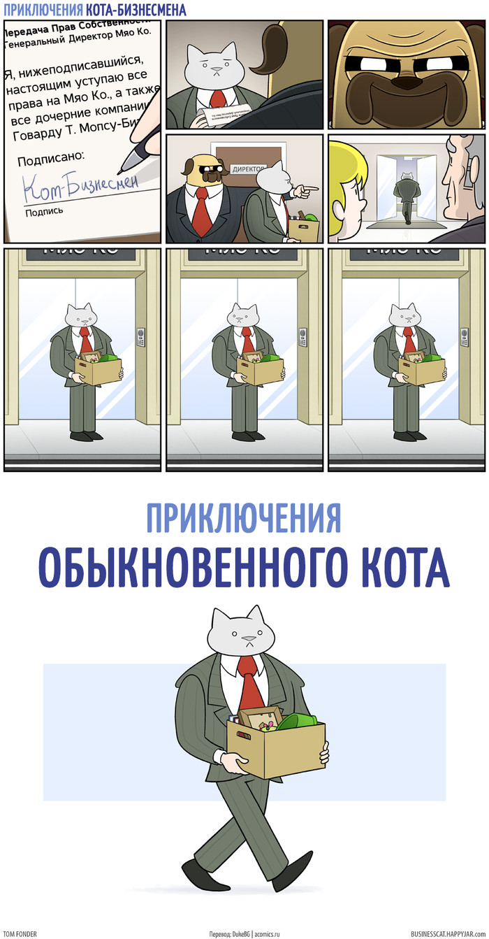 Новый виток. - Business Cat, Комиксы, Кот, Приключения, Обыкновенный кот