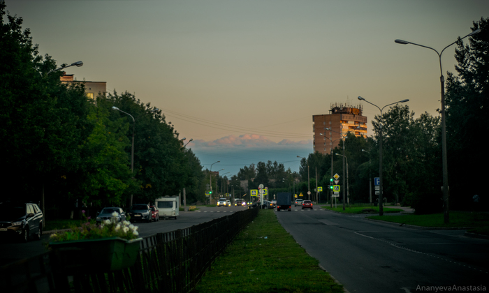 Pinery. - Leningrad region, The photo, Lightroom, Road, Sunset, Nikon, Nikon d3300