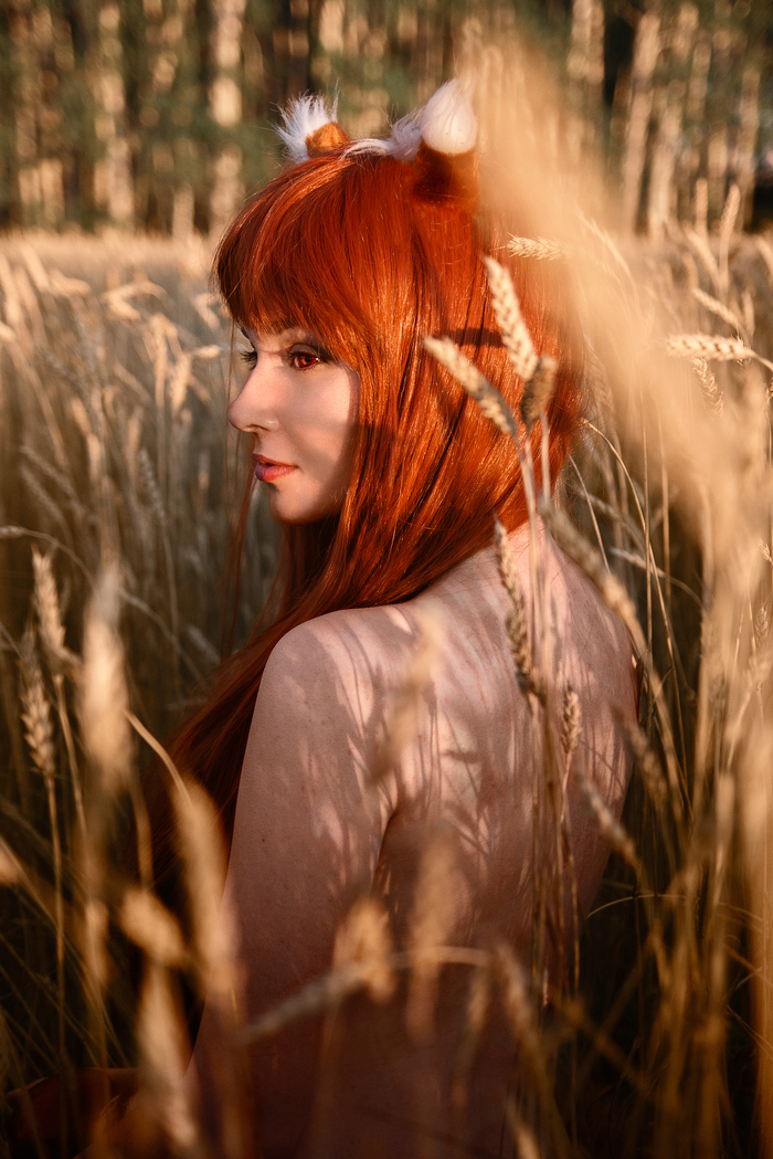 Spice and Wolf - Longpost, , Spice and Wolf, Russian cosplay, Cosplay, My
