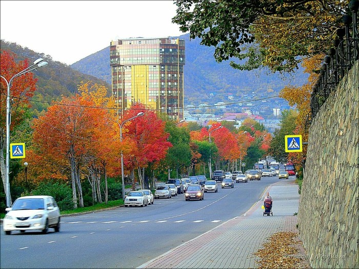 Золотая осень - Моё, Петропавловск-Камчатский, Осень, Красота