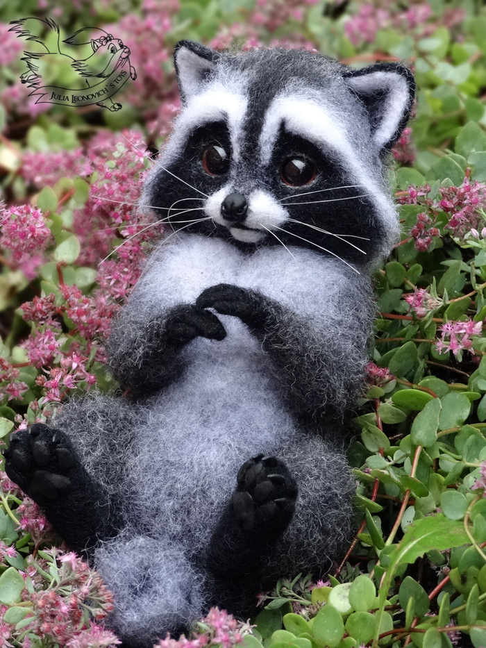 Felt toy. Raccoon Knopa. - My, Dry felting, Raccoon, , Young, Needlework, Hobby, Author's toy, Wallow, Longpost