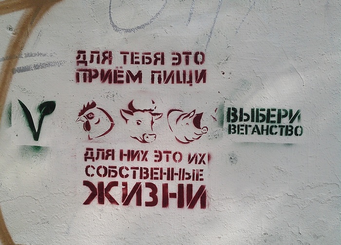 ������ ���������