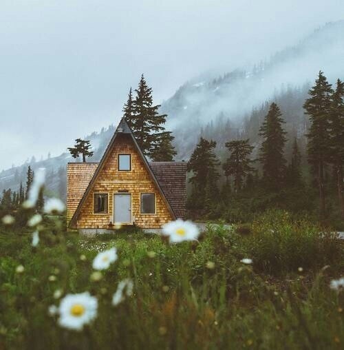 Autumn. - Autumn, Hut, House, Vacation home, Forest, Nature, Relaxation, Camping, Longpost