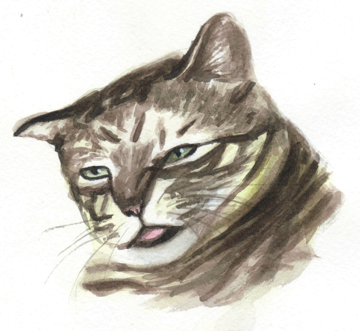 catomemes - My, cat, Memes, Drawing, Art, Vera Izotova, Watercolor, Painting, Sketch, Longpost