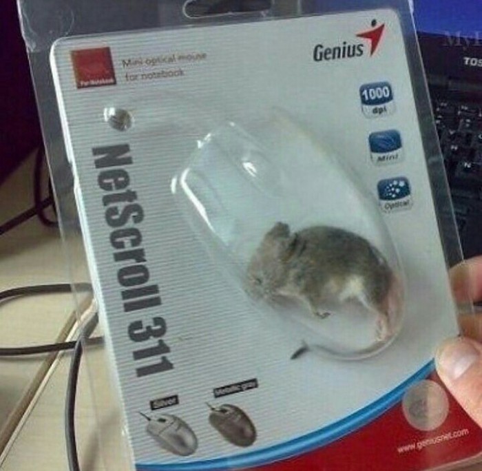 Who is the mouse for? - Mouse, , Package