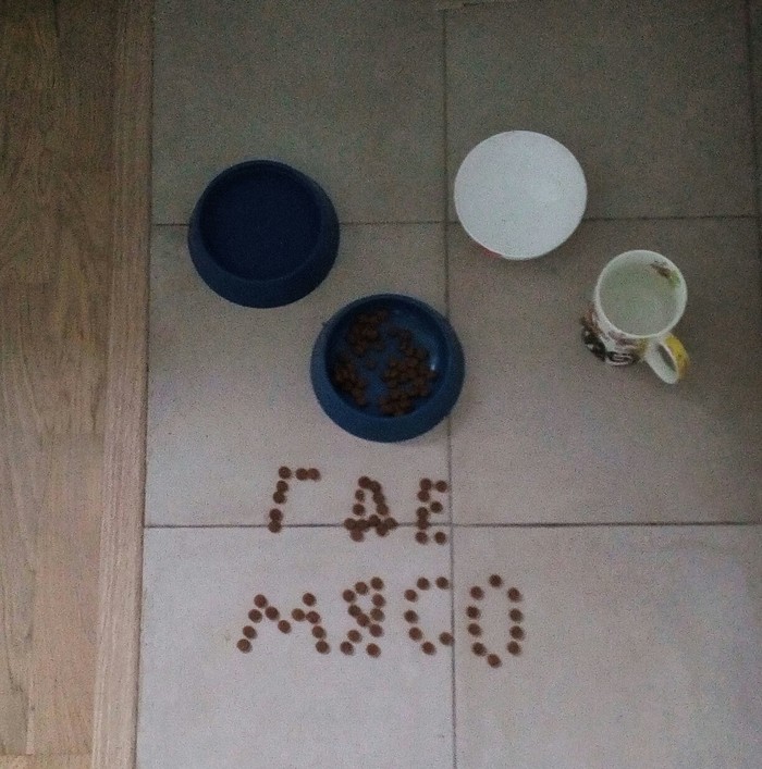 ������� ��� ������ �� ���-�� ��������