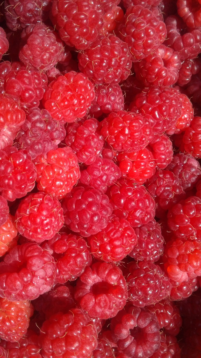 Делюсь со всеми капелькой яркого лета! =)