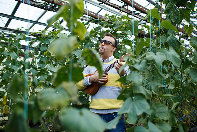 Belarusian scientists have found out what kind of music cucumbers grow better under - Republic of Belarus, Cucumbers, Music