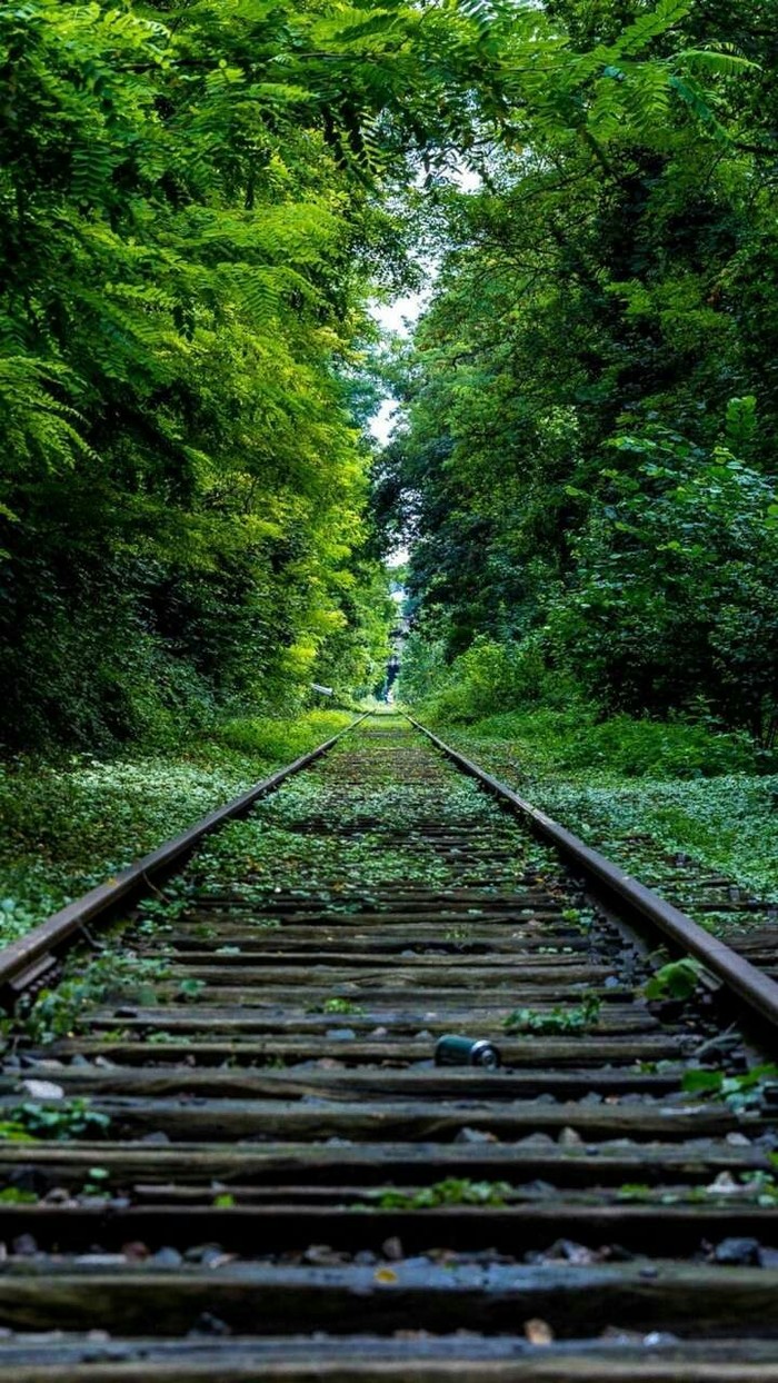 Road leading into the distance - Railway, Images, Longpost