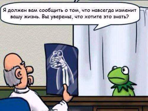 Medical secrecy. - Kermit the Frog, The Muppet Show, Drawing, The bayanometer is silent