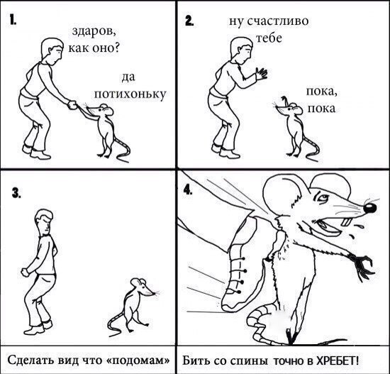 Удар в спину для начинающих - Крыса, Человек, Удар, Спина, Инструкция