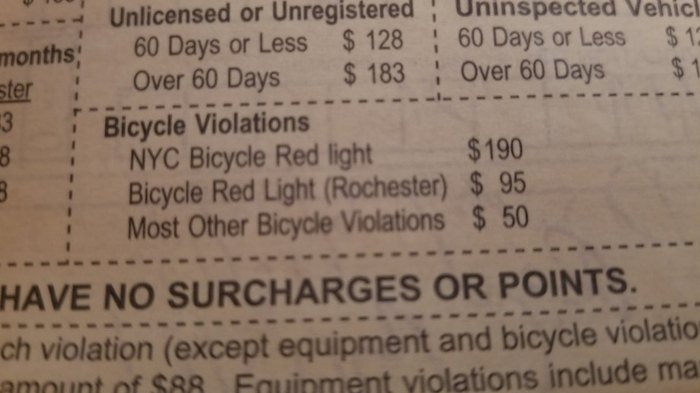 $190 fine for running a red light in New York on a BIKE. - New York, A bike, Question