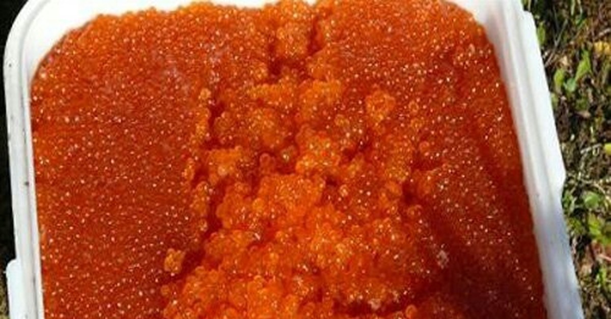 икра и рыба камчатская смоленск. как солят икру на камчатке. икра лососевая горбуши соленая. тузлук для икры. как солят икру на камчатке.