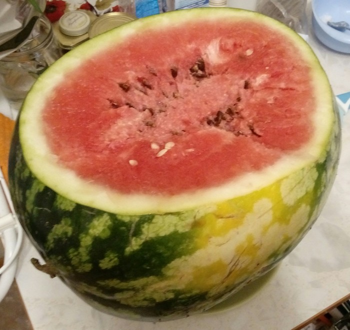 How do you close the summer season? - Closing the season, Summer, Watermelon