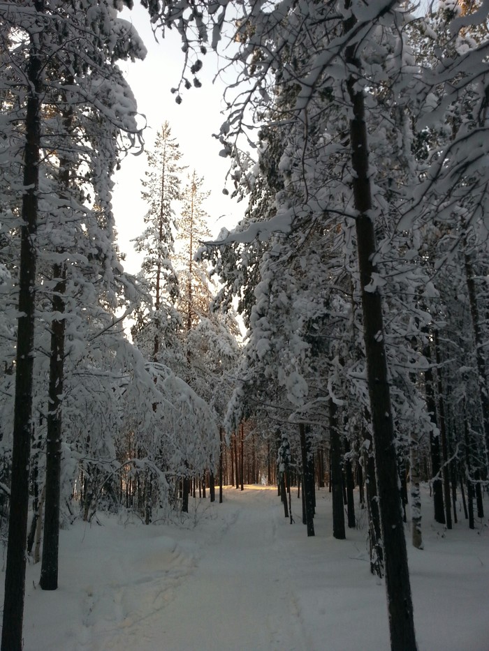 Do you love winter as much as I do? - My, The winter is coming, Snowmobile, beauty of nature, Longpost