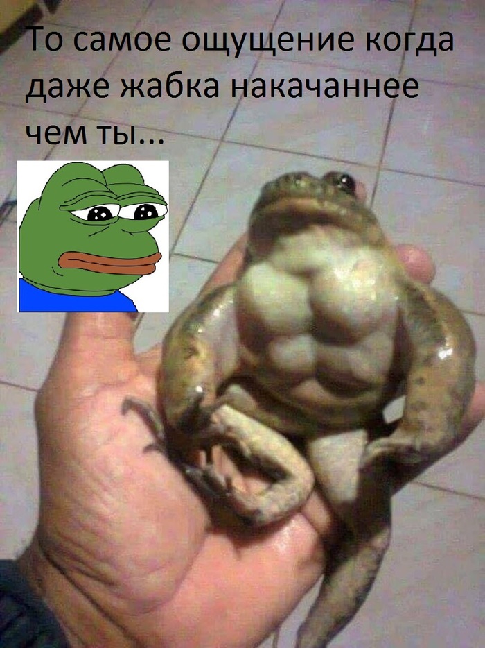 Будни дрища - Pepe, Качок, Мускулы