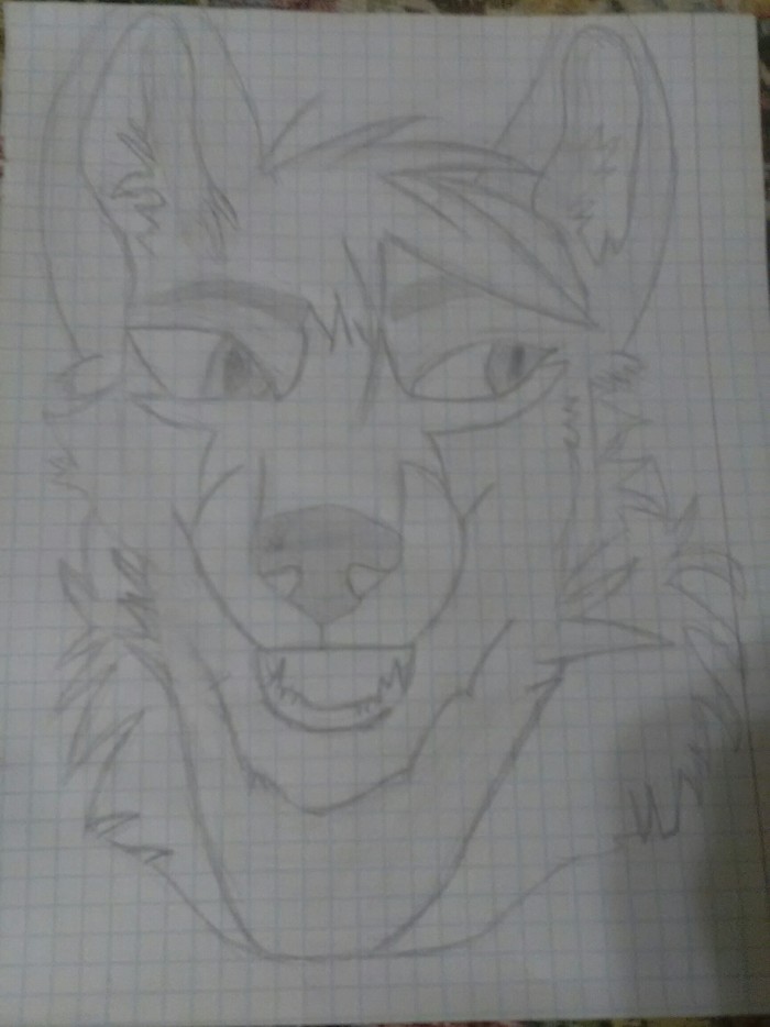 Furry in pencil, I drew it myself. - My, Drawing, Furry