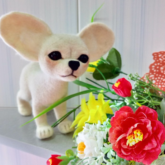 Chihuahua Chishka 19*19 cm - My, Dry felting, Wallow, , Wool toy, Toys, Handmade