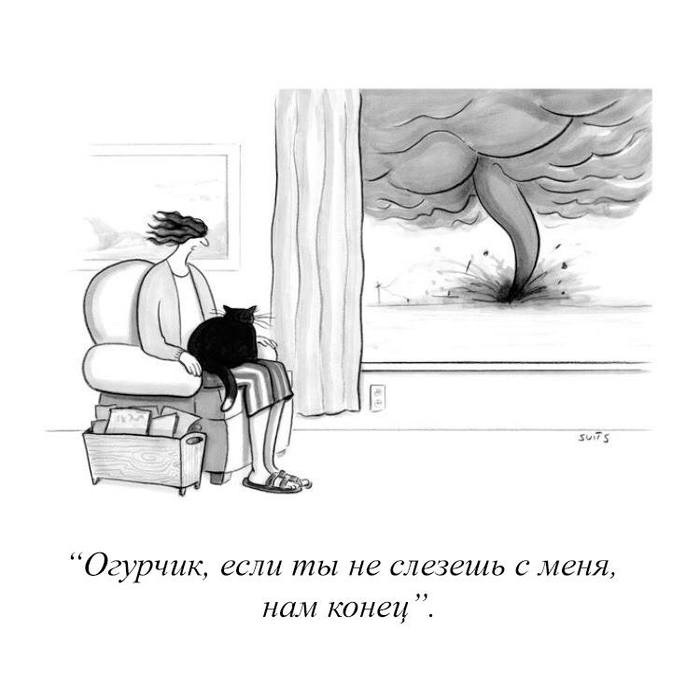  , , The New Yorker,  New Yorker