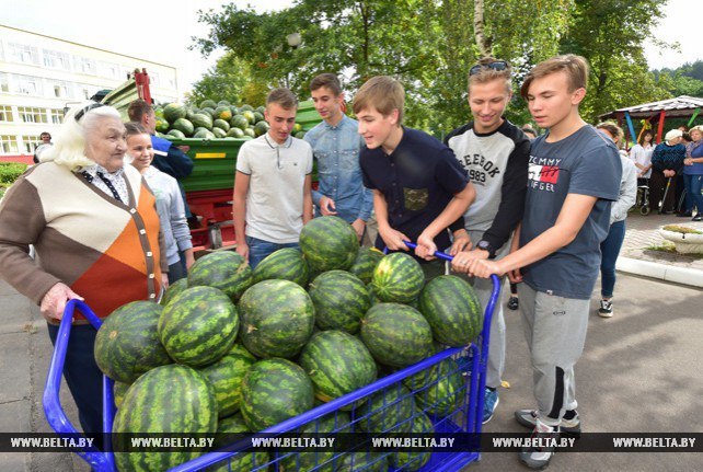 Don't slow down - watermelon for sure - Republic of Belarus, Nikolay Lukashenko, Watermelon, Nursing home, Logics