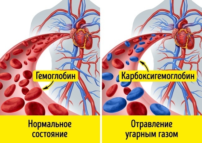 The reaction of our body in extreme situations - A selection, Longpost, Person, Health, Body, Interesting, Not mine, ADME