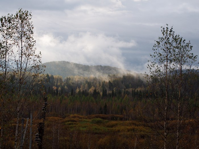 Autumn in the Krasnoyarsk Territory - My, Kuraginsky District, The photo