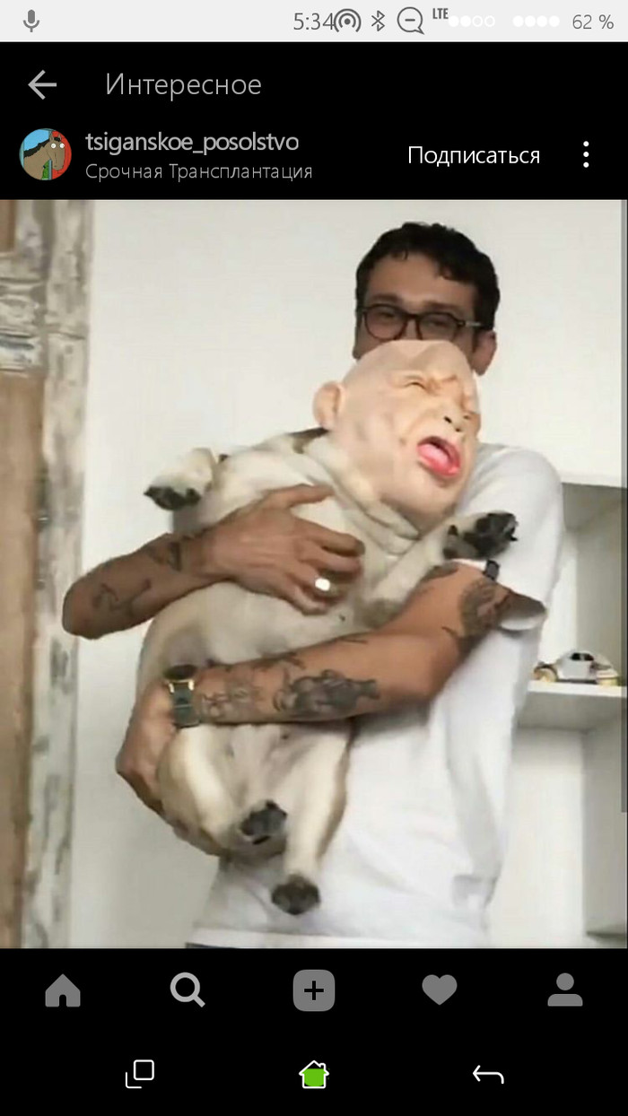 Сидела на инстаграме...