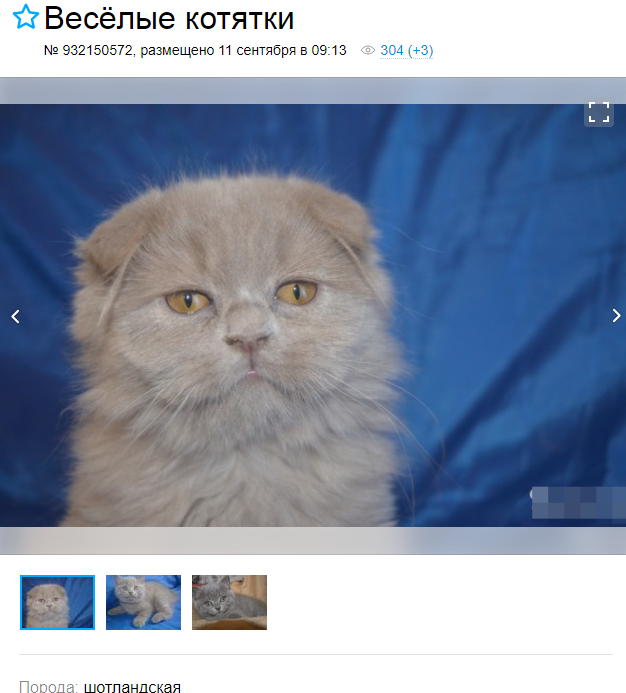 Хозяин тоже с юмором