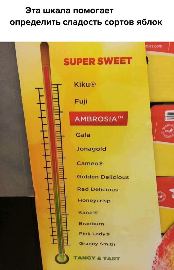 150584653018663825.jpg