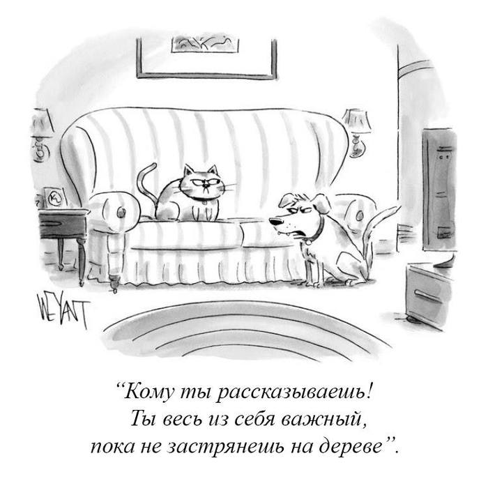 Все коты такие - Коты и собаки вместе, Кот, Собака, Комиксы, The New Yorker, Журнал New Yorker