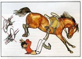 Will I never wear a helmet? - Horses, Horseback Riding, Equestrian Club, Safety, Helmet, Longpost