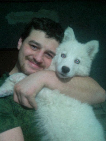 If you choose a dog, then the Yakutian Laika - My, , Laika, Yakut Laika, Tyumen, Longpost